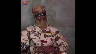 Tchad-RCA : La force mixte évoque des "incidents récents" et promet "d'éradiquer" les "coupeurs de r