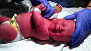 Daddy Would Give You His Heart By Austin Wahlert