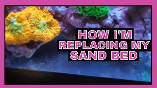 Replacing My Sand Bed - 75 Gallon Reef Tank