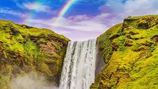 Nature non copyright free video |Nature motion graphics video