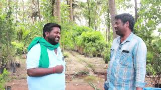இயற்கை விவசாயத்தில் அற்புதம் செய்யும் மீன் அமிலமும் | Fish Acid | Agriculture