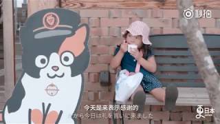 中国でも大人気のネコ駅長たま