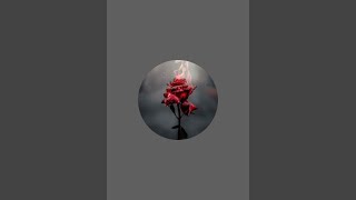 XESURAJ is live