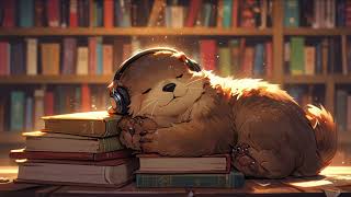 Let's Have a Chill Study Session | Library Whispers | Lo-Fi Music for Study and Relaxing