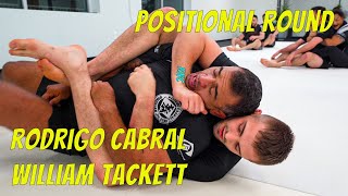 William Tackett Rear Mount Techniques🥋 | #249