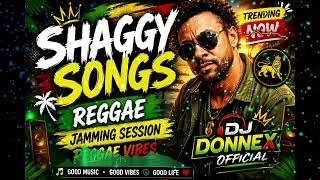 SHAGGY SONGS | REGGAE JAMMING SESSION | REGGAE VIBES ❤️💚💛🌴