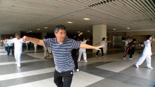 tai chi 15a