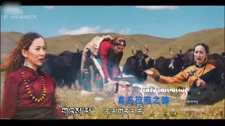 Tibetan song 2021 རི་བོ་ཧི་མ་ལ་ཡ་ by Damding Tso