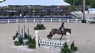 Stake Devon Horse Show 2022 Thunderbird Gigi Phillips 3’6 Junior Hunter Stake May 2022