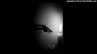 MOTHS TO THE FLAME (PROD.VVORNTH)