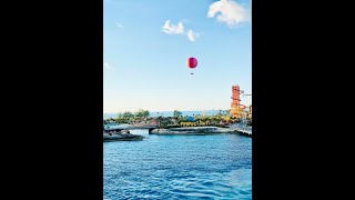 The Summer Wind - Ivan cover 3-28-21