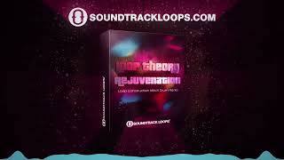 Loop Theory Rejuvination - Chillout Loops & Samples