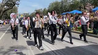 Brasshearts Brass Band @ Krewe of Rex - Parade Band