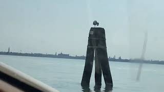 Venice Speedboat Taxi. Marco Polo Airport