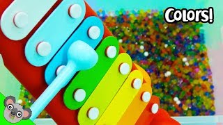 Xylophone COLORS! Color Names + Learn Spelling by Koalafied Fun