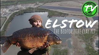 MONSTER PARTICLES TV.. SCOTT LARMAN ... ELSTOW