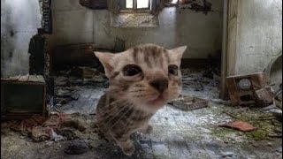 where have i been??