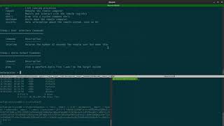 Writing Meterpreter Commands with Python with R7's Spencer McIntyre