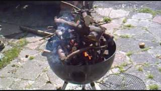 SOUTH AFRICAN BRAAI