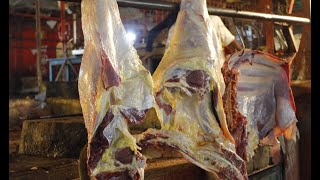 Amazing Beef Meat Cutting Skills In Bd Meat Market | Excellent Beef Cutting Style