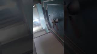 My friend tryna get on hee haw glen Novak