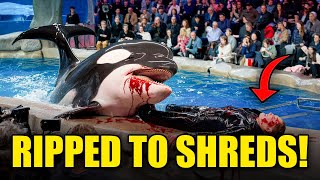 The DEADLIEST Orca Attacks Ever Recorded