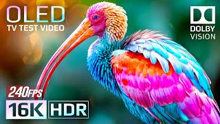 Breathtaking Beauty of the World - 16K HDR 240fps Dolby Vision (4K / 8K TV)