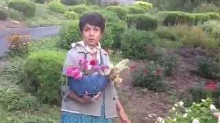 Nina J. Studios – "Live and Walk with Art"