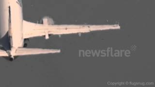 Plane destroys flock of pigeons