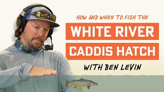 Master the White River Caddis Hatch this Year with Guide Ben Levin