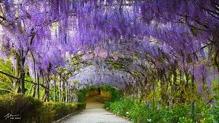 Beautiful Relaxing Music, "Europe's most romantic picturesque lakeside villages" by Tim Janis