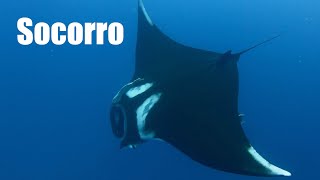 Dive: Socorro 2022