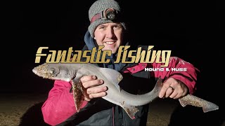 Smooth hound & Bull huss fishing / Uk sea fishing