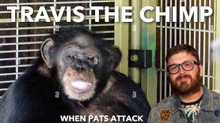 #59: Travis The Chimp