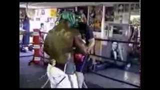 James Toney sparring