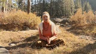 Get in Touch with Where You Are Quieting the Mind