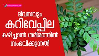 What happens to your body if you eat curry leaves every day!