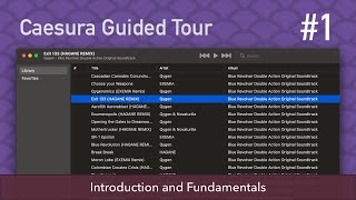 Caesura Guided Tour #1: Introduction and Fundamentals