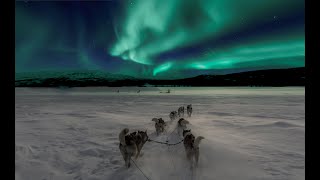 Progressive session 91 by Dj Raspby