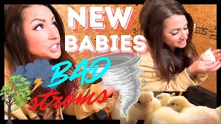 Farm Update Spring Is Almost Here! New Babies And New Plants!