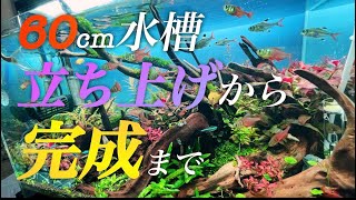 60cm水槽立ち上げから完成まで｜ADA｜アクアリウム The aquarium was completed.