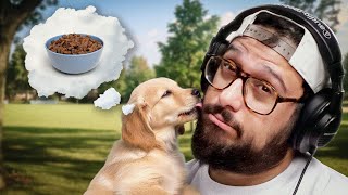 Does Your Dog Actually Love You? | Lopsided Pod