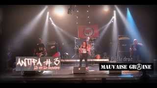 Mauvaise graine - Pas le droit