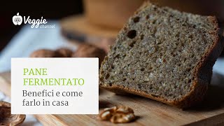 Fermented bread: benefits and how to make it at home