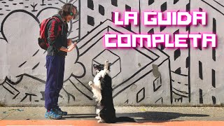 Potrai INSEGNARE QUALSIASI COMANDO se fai così!