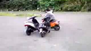 antz wheelie 2