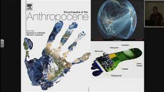 Primary Forest and Roadless Areas: Why we need Wild Places in the Anthropocene