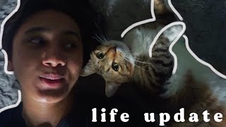 a life update with my THIQQQ cat