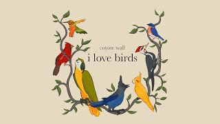 Coyote Wall - I Love Birds (full album stream)