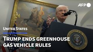 Trump says 'terminating' green vehicle emissions rules | AFP